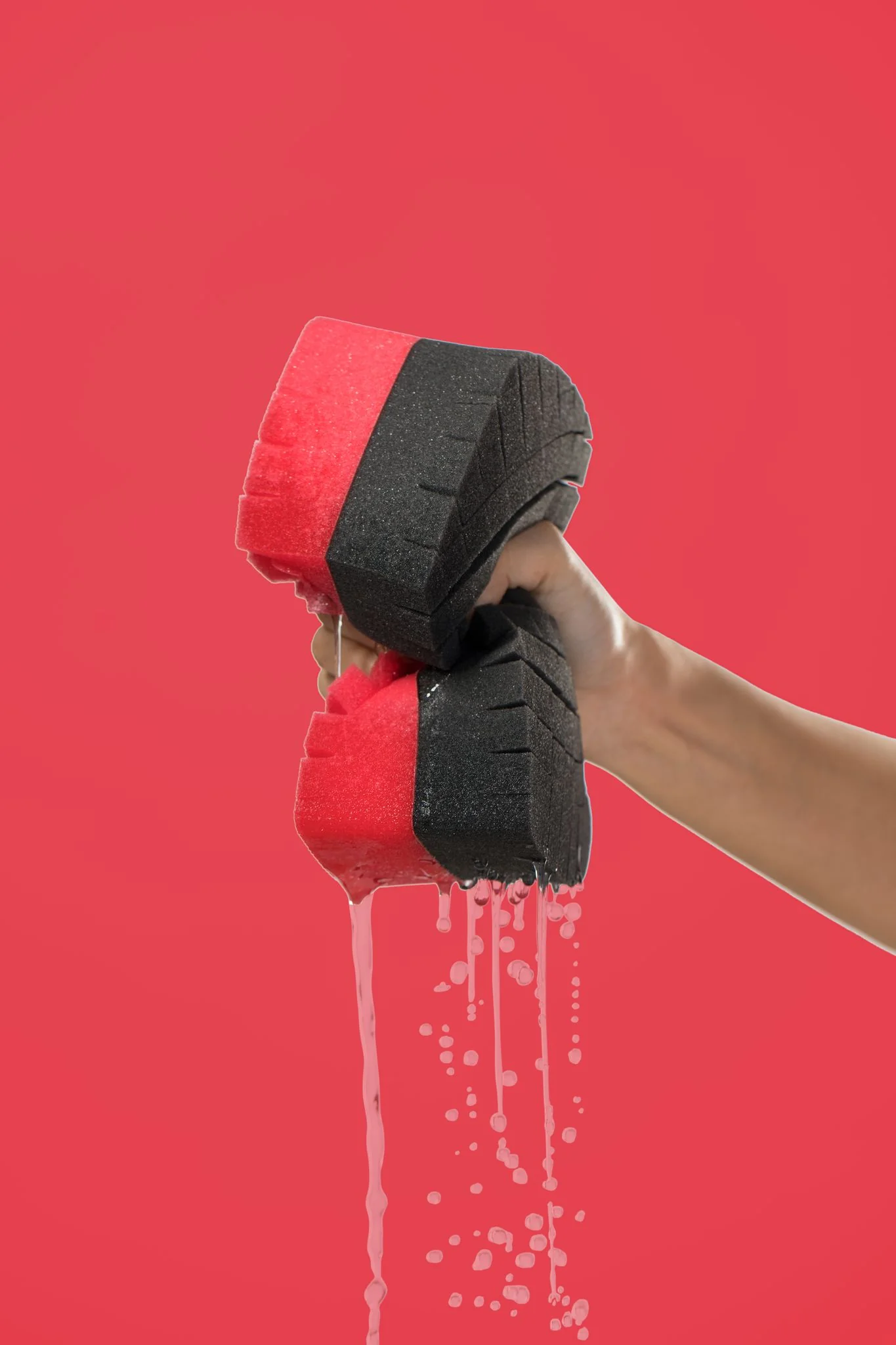 Legacy Sponge