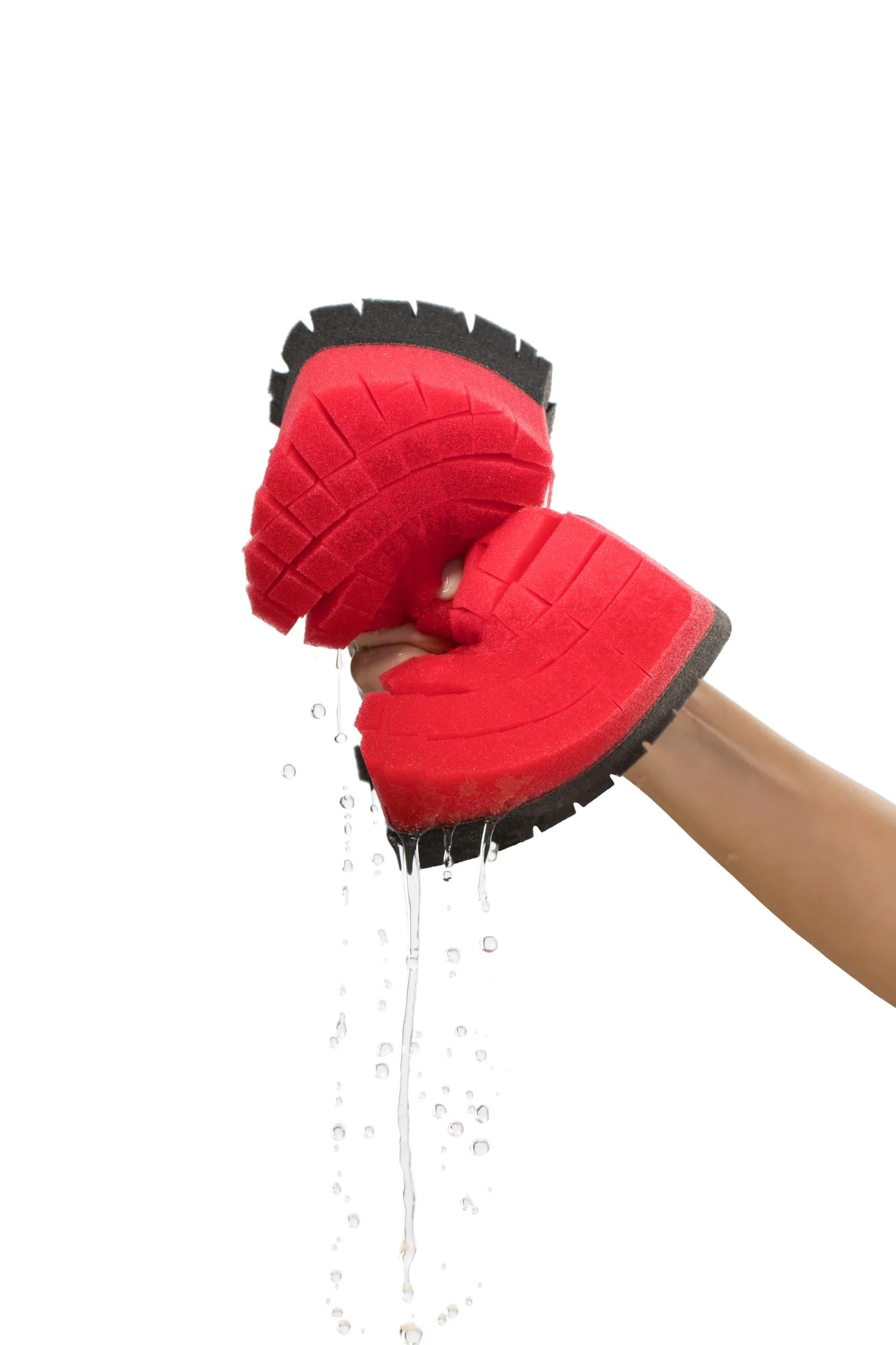 Legacy Sponge - Image 2